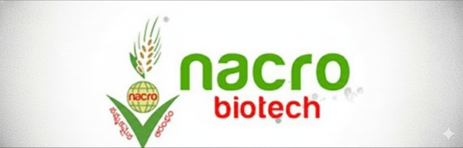 Gemini_Generated_Image_so4asfso4asfso4a