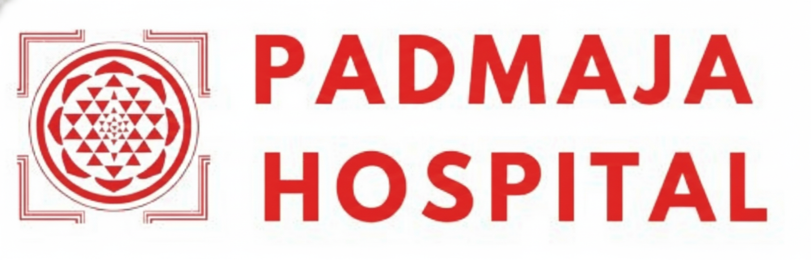 Gemini_Generated_Image_xb2aomxb2aomxb2a